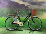 Xe đạp nữ Vicky L600 24